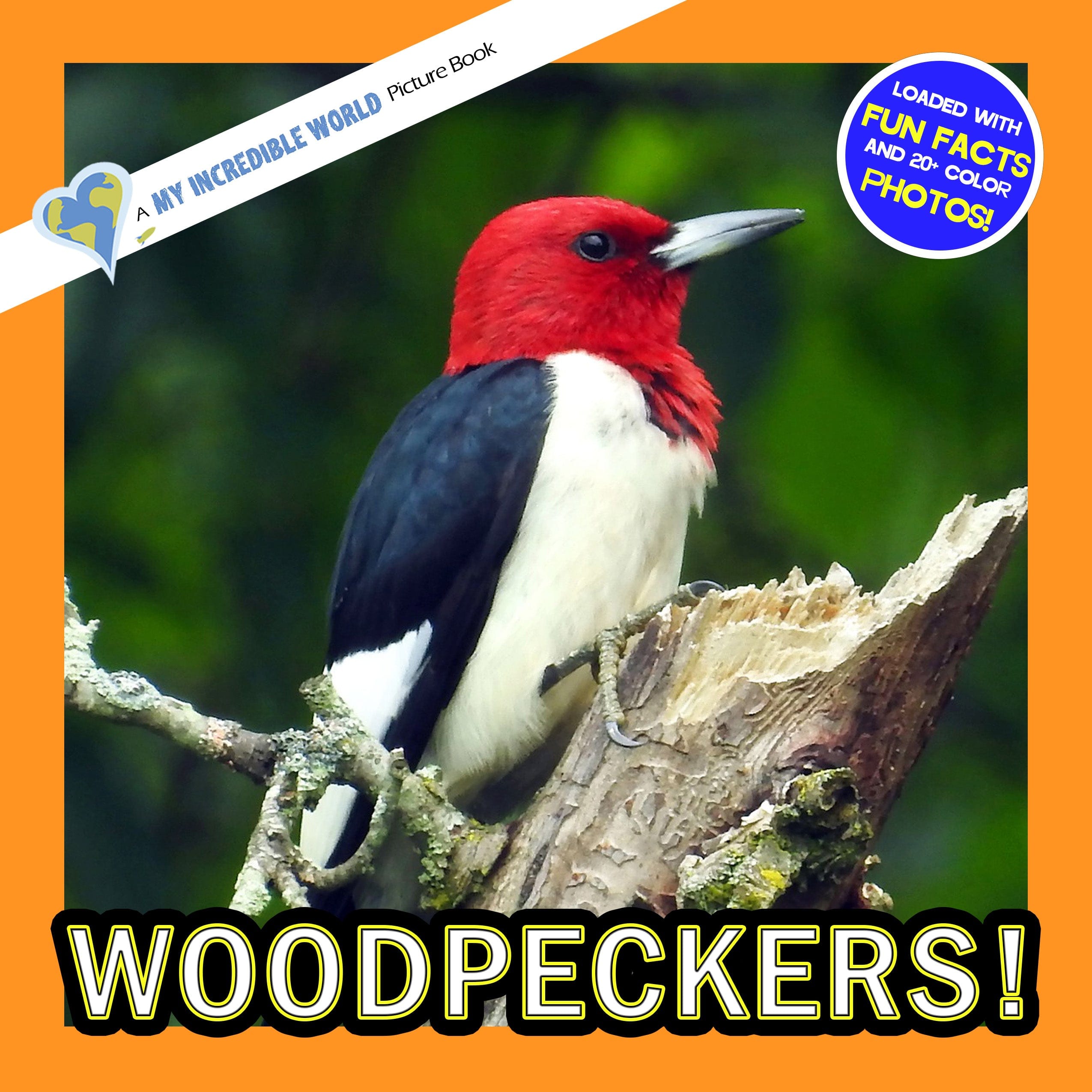 Woodpeckers! A My Incredible World Picture Book for Children